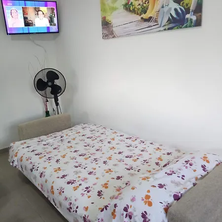 Punta Grossa 1 *